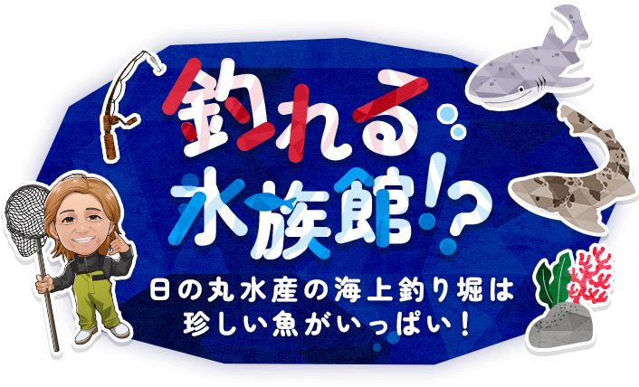 釣れる、水族館！？ 日の丸水産の海上釣り堀は、珍しい魚がいっぱい！