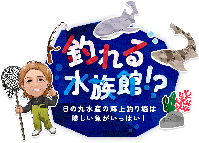 釣れる、水族館！？ 日の丸水産の海上釣り堀は、珍しい魚がいっぱい！