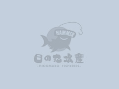 まるで水族館！？三重県・錦の海に浮かぶ海上釣り堀【日の丸水産】