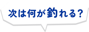 次は何が釣れる？