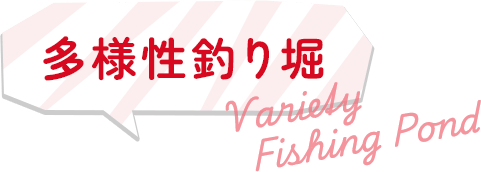 多様性釣り堀